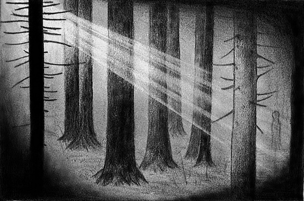 600x397 Beautiful Tree Drawings For Inspiration - Forest Drawing Easy