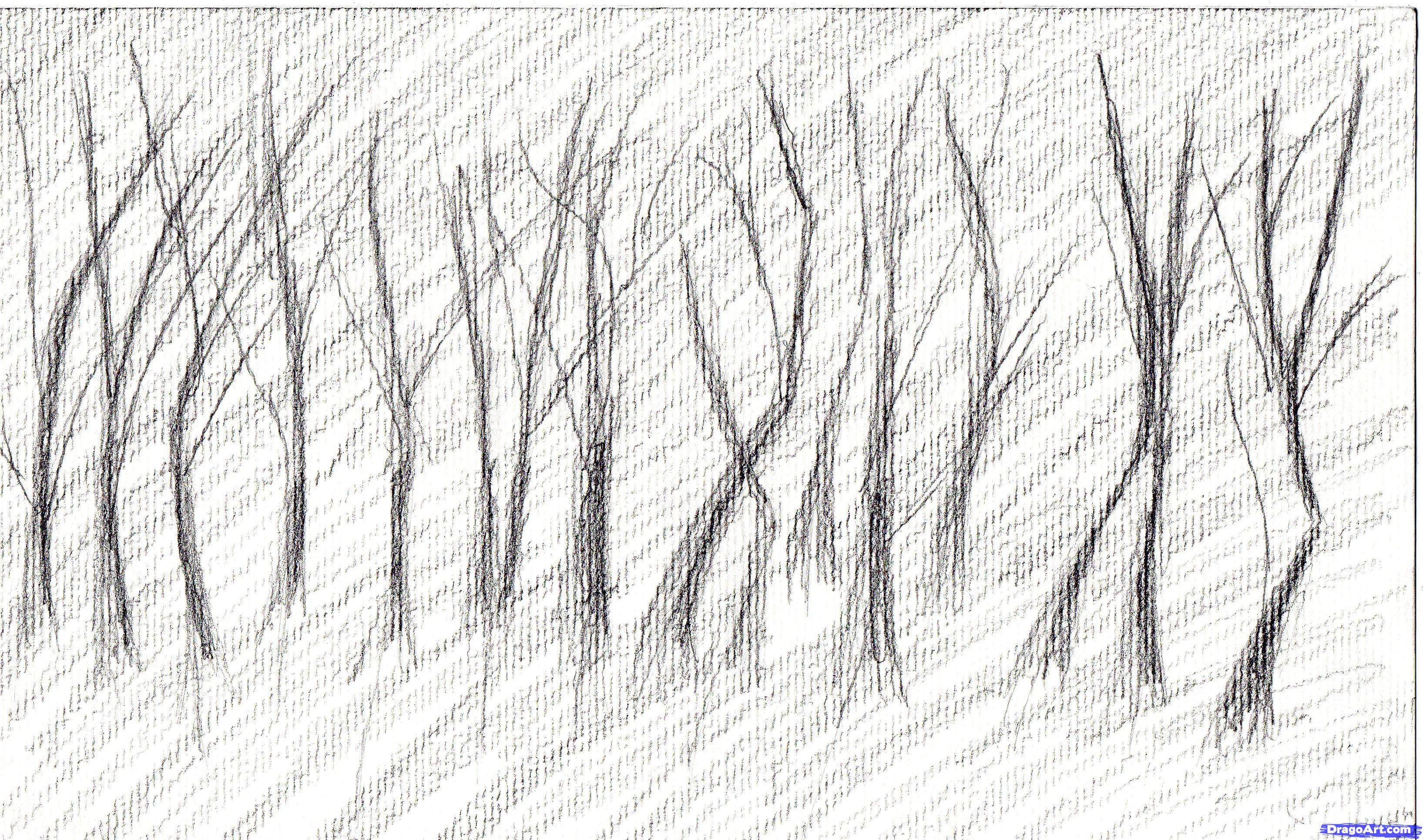 3270x1931 How To Draw An Eerie Forest, Step - Forest Drawing Easy