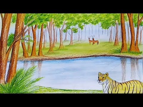 480x360 How To Draw Forest Scene Step - Forest Drawing Easy