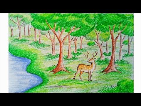 480x360 How To Draw Scenery Of Stream Waterfall Step - Forest Drawing Easy