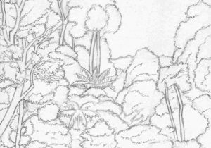 300x210 How Simple Easy Forest Drawing To Draw Realistic Jungle With Dense - Forest Drawing Easy