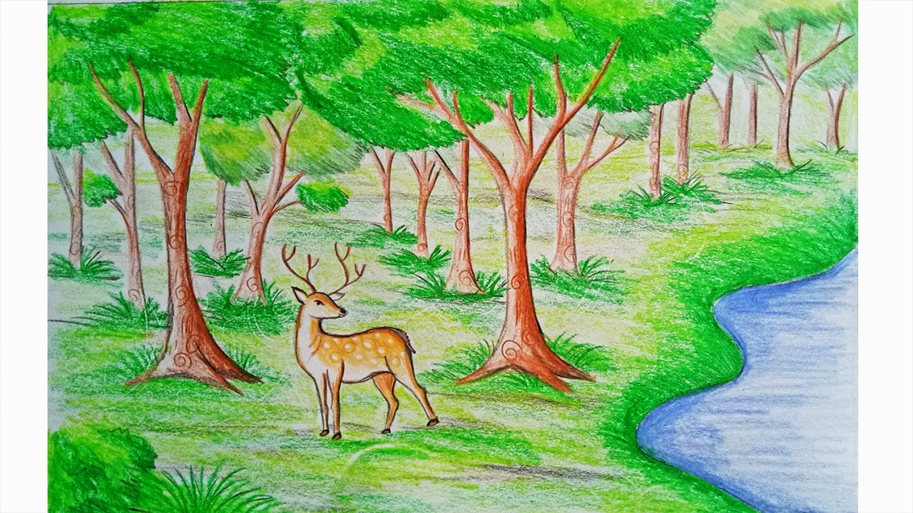 Forest Drawing Easy at PaintingValley.com | Explore collection of