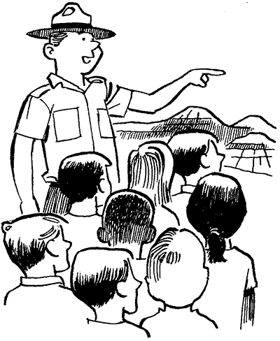 400x488 Kids Youth - Forest Drawing For Kids