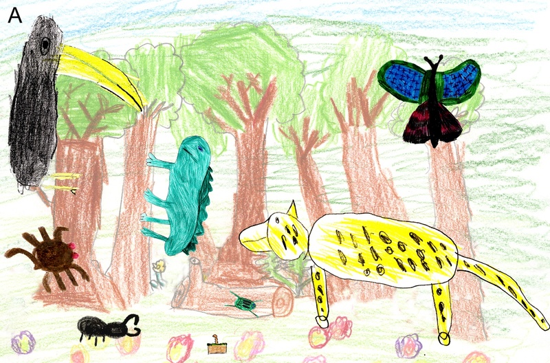 800x528 Stop The Presses Kids Like Cool Animals Wired - Forest Drawing For Kids
