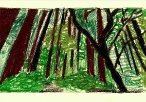 300x210 How Draw Cool Easy Cartoon Background Youtuberhyoutubecom How - Forest Drawing For Kids