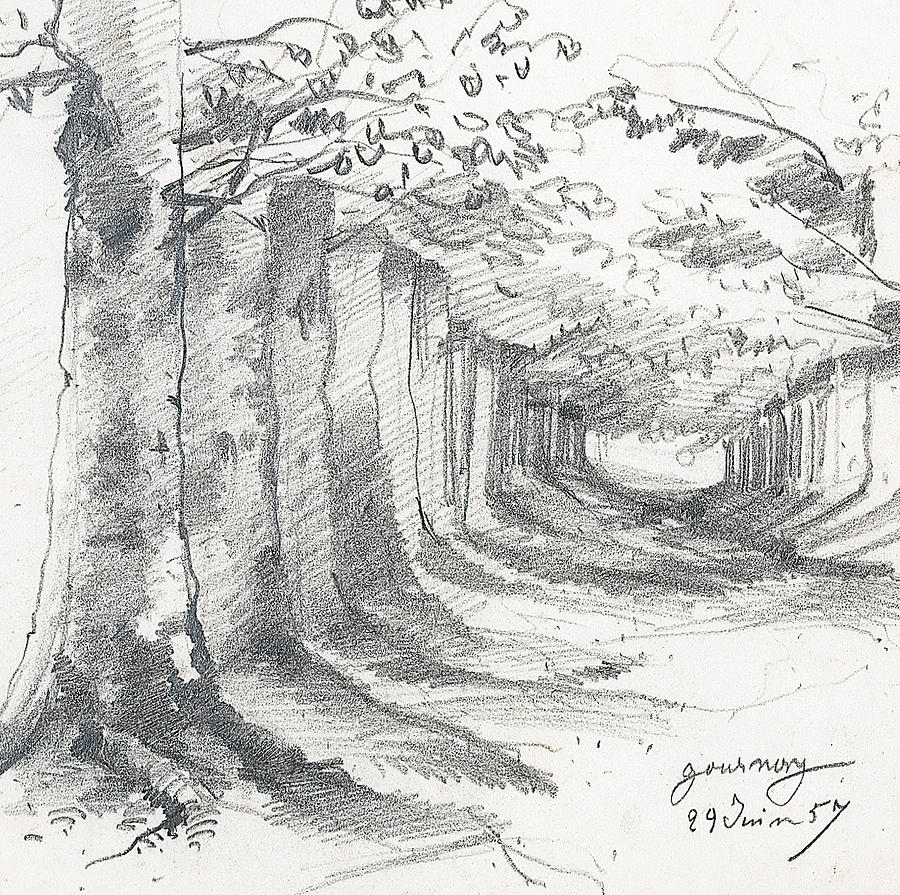 900x895 Forest Lane At Gournay Drawing - Forest Drawing Images