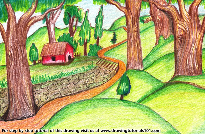 800x524 Forest Scene Colored Pencils - Forest Drawing Images