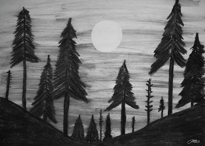 700x500 Sun Over Pine Tree Forest Drawing Greeting Card For Sale - Forest Drawing Images
