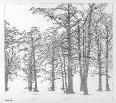 375x333 Winter Forest Drawing - Forest Drawing Images