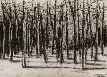 375x270 Deep Forest Drawing - Forest Drawing Images