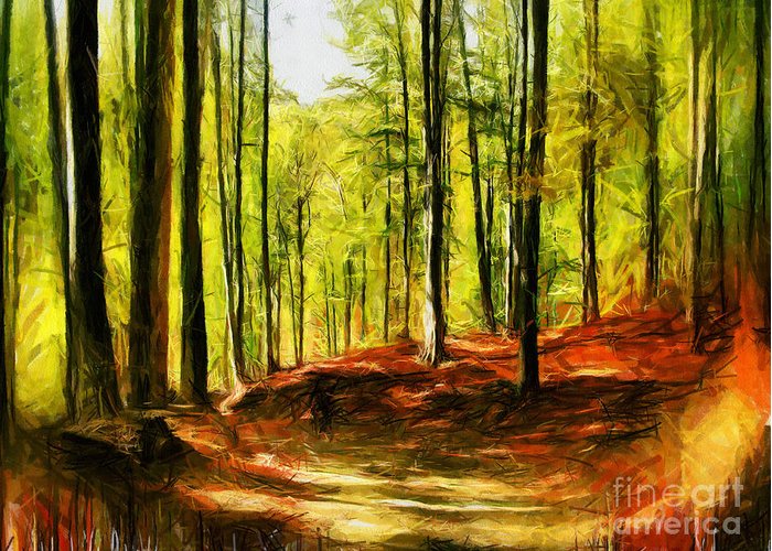 700x500 Enchanted Forest - Forest Drawing Images