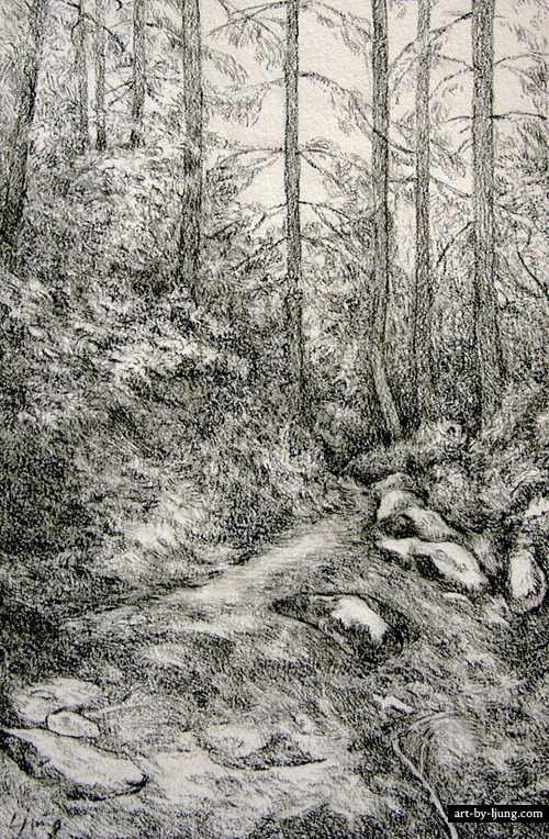 Forest Drawing Pictures At Paintingvalley Com Explore Collection Of Forest Drawing Pictures