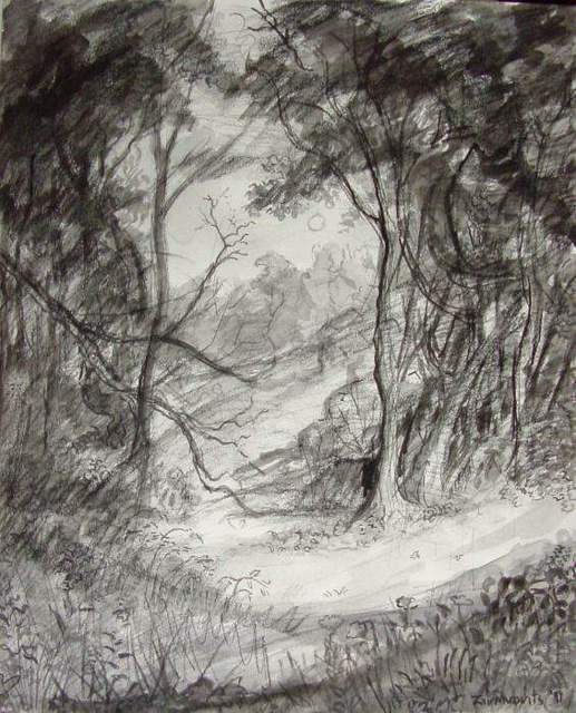 517x640 Dana Zivanovits Artwork Forest Clearing Original Drawing - Forest Drawing Pictures
