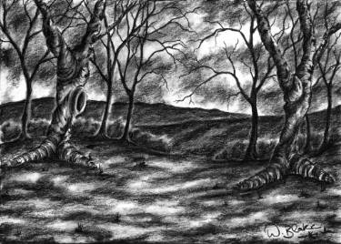 375x268 Dark Forest Drawing - Forest Drawing Pictures
