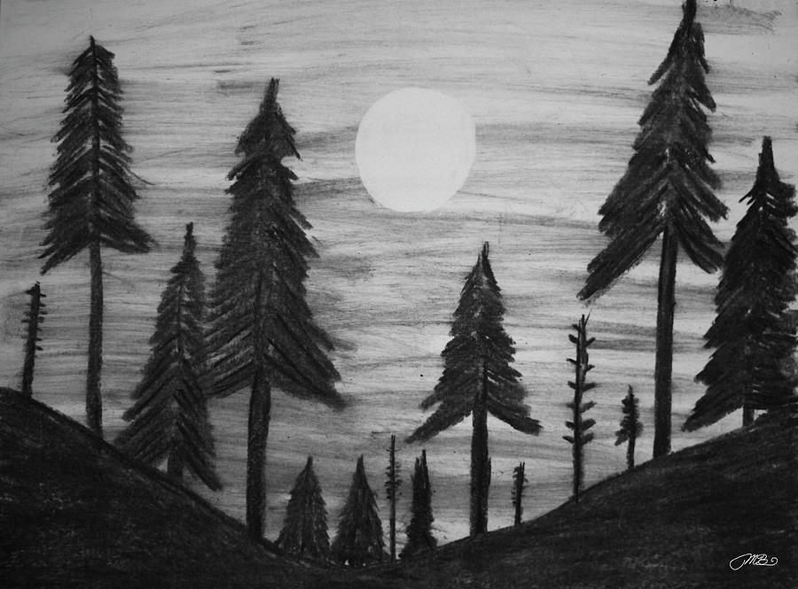 900x665 Sun Over Pine Tree Forest Drawing Drawing - Forest Drawing Pictures