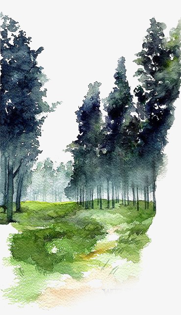 369x640 watercolor, watercolor clipart, watercolor forest, drawing trees - Forest Drawing Pictures