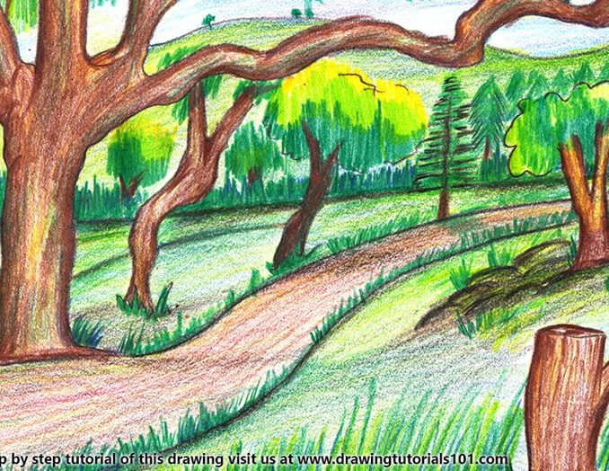 678x524 Forest Scenery With Animals Drawing - Forest Drawing With Animals