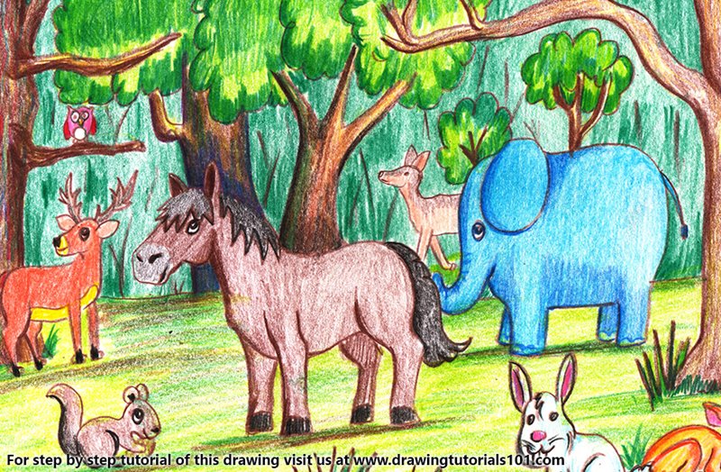 800x524 Forest With Animals Colored Pencils - Forest Drawing With Animals