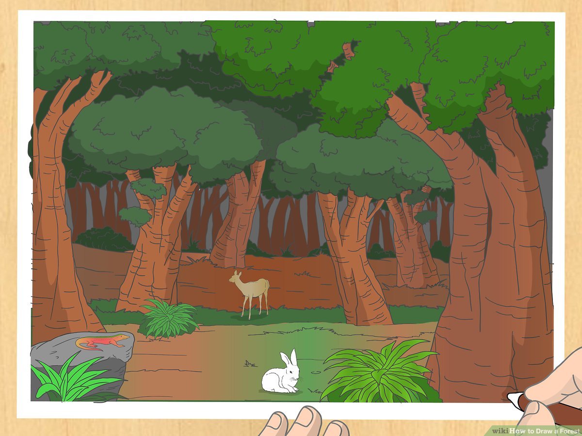 1200x900 Ways To Draw A Forest - Forest Drawing With Animals
