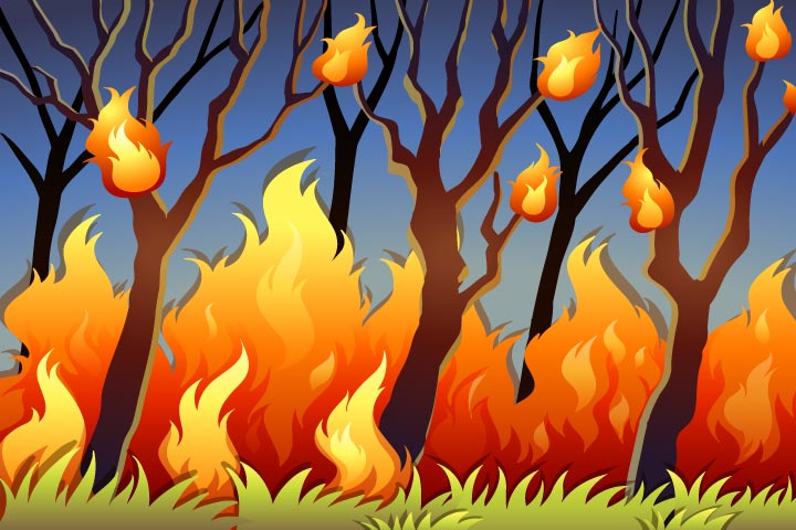 20+ Inspiration Wildfire Forest Fire Drawing Easy | Creative Things
