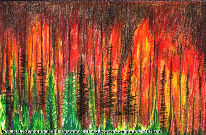 Forest Fire Drawing at Explore collection of