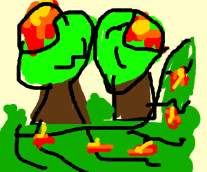 300x250 Tsundere Forest Fire Drawing - Forest Fire Drawing