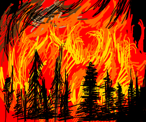 Forest Fire Drawing at PaintingValley.com | Explore collection of