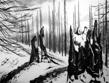 375x286 Caldera No Drawing - Forest Fire Drawing