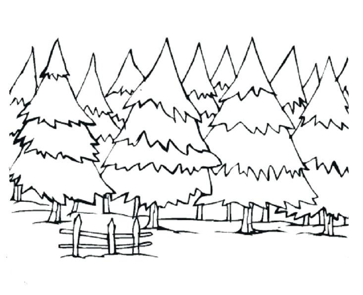 733x595 coloring pages forest scene coloring pages forest scene rainforest - Forest Habitat Drawing