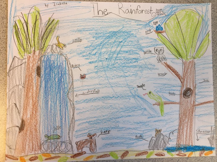 Forest Habitat Drawing at Explore collection of
