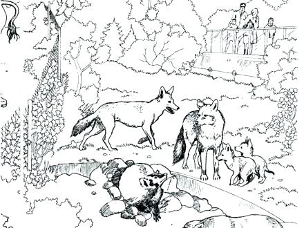 440x330 habitat coloring pages attractive woodland animal coloring pages - Forest Habitat Drawing
