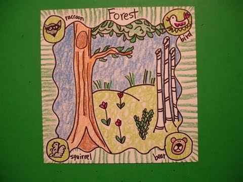 480x360 let's draw an animal habitat the forest! - Forest Habitat Drawing