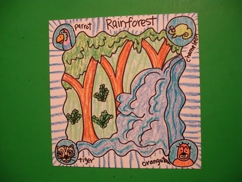 480x360 let's draw an animal habitat the rain forest! - Forest Habitat Drawing