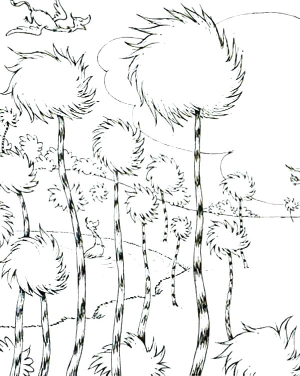 600x750 rainforest habitat coloring pages - Forest Habitat Drawing