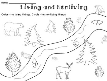 350x263 the forest habitat - Forest Habitat Drawing