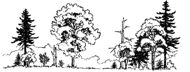 609x233 wildlife habitat improvement woodlands and wildlife unh extension - Forest Habitat Drawing