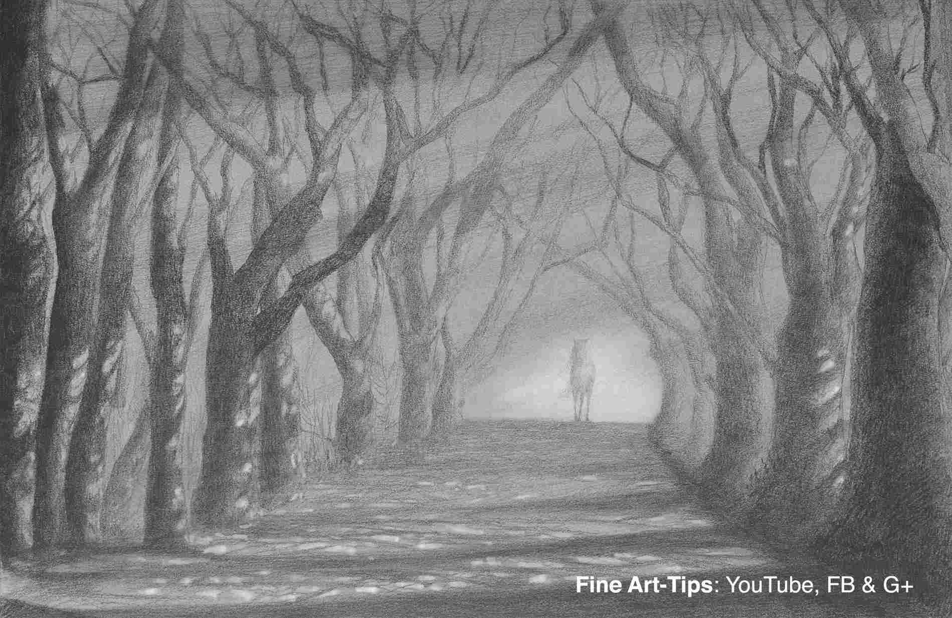 Forest Landscape Drawing at PaintingValley.com | Explore collection of ...