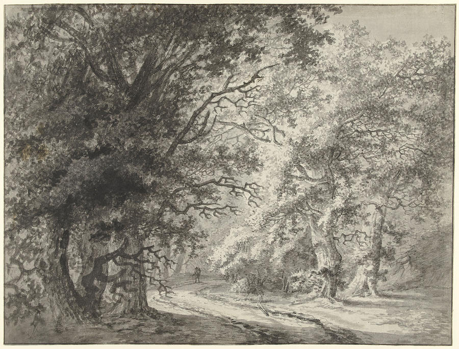 900x685 Forest Landscape With Dirt Road And Traveler Drawing - Forest Landscape Drawing