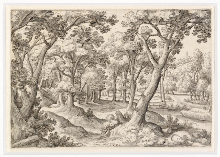 900x642 Forest Landscape With A Stream - Forest Landscape Drawing