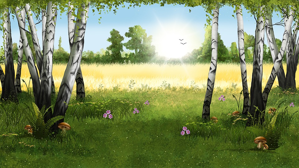 960x540 free photo mushrooms birches nature drawing forest landscape - Forest Landscape Drawing
