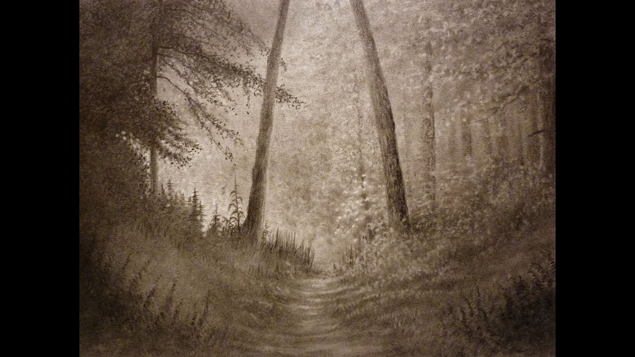 1280x720 Unique Drawing A Forest Landscape Collection - Forest Landscape Drawing