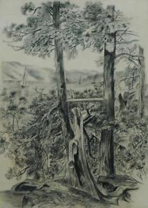 213x300 Antique Original Pencil Drawing Of Forest Landscape Looking Over - Forest Landscape Drawing