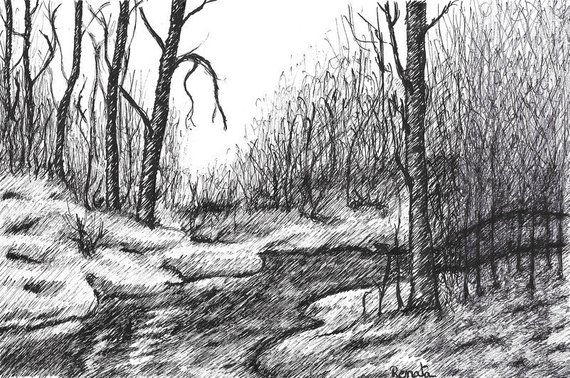 Forest Landscape Drawing at PaintingValley.com | Explore collection of ...