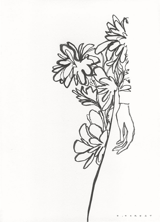 638x886 Forest's Drawings - Forest Line Drawing