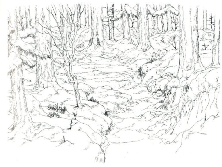 772x582 Forest Drawing Concept For Free Download - Forest Line Drawing