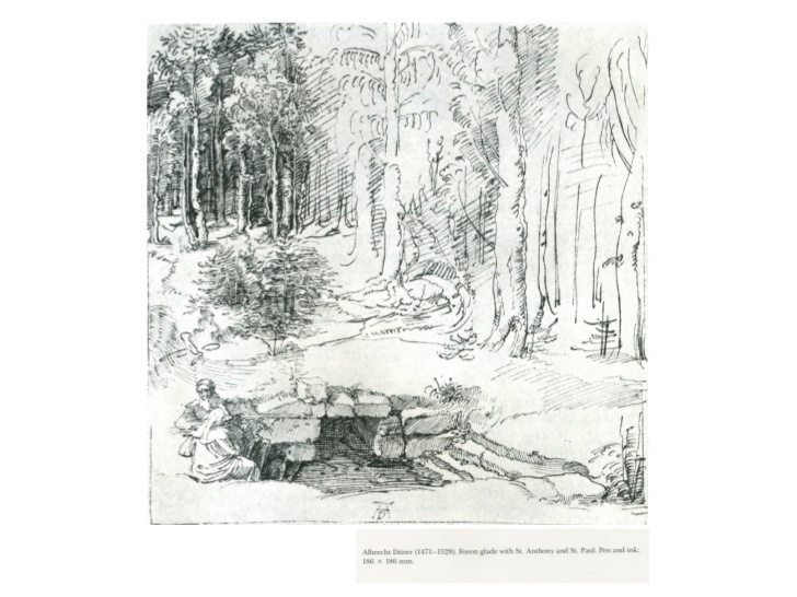 728x546 Landscape Line Drawings - Forest Line Drawing