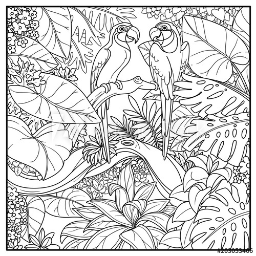 500x500 Wild Jungle With Two Parrots Of Macaw Sit On Branch Over Forest - Forest Line Drawing
