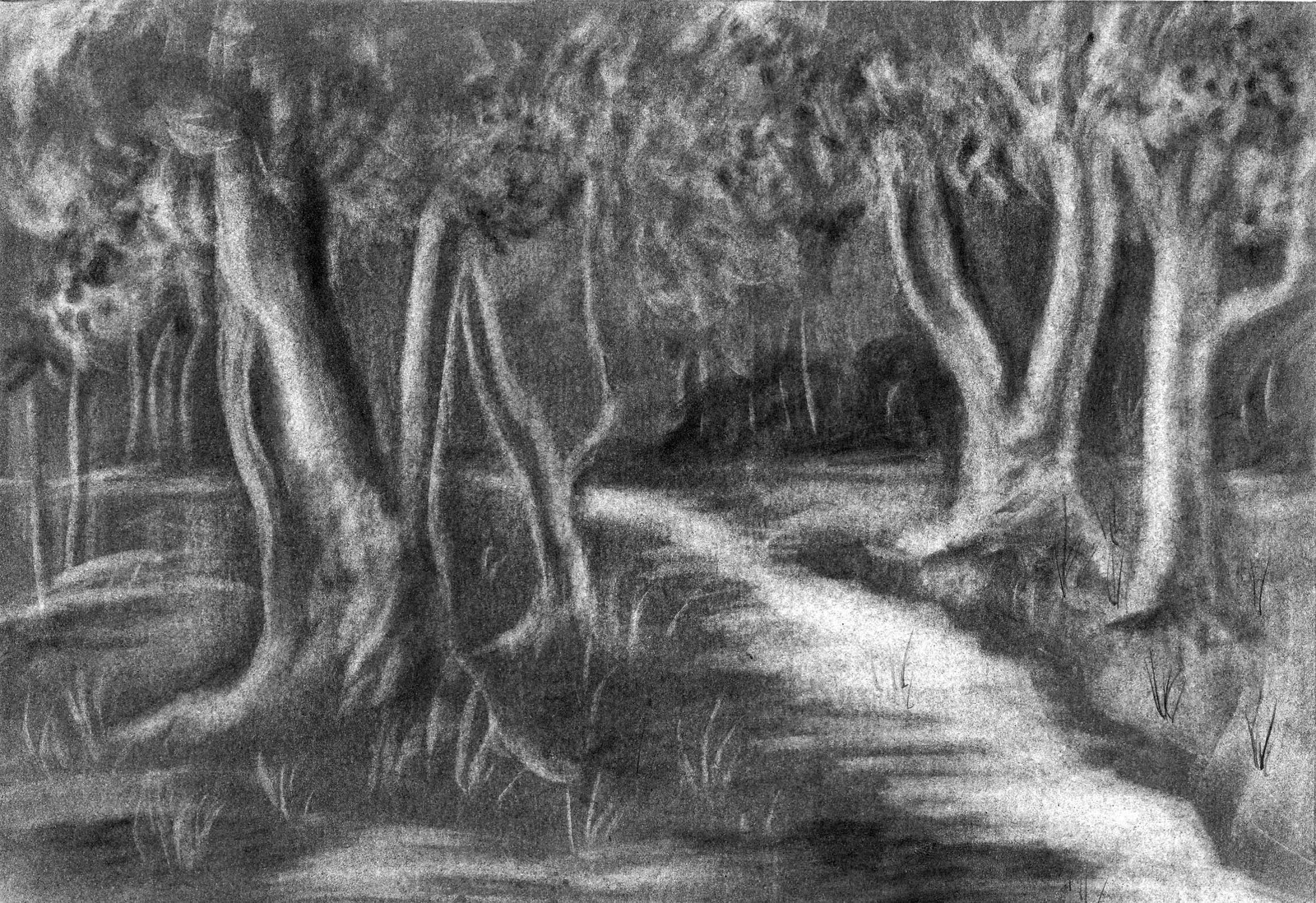 1600x1098 Fantastic Forest Pencil Sketch Photos - Forest Pencil Drawing