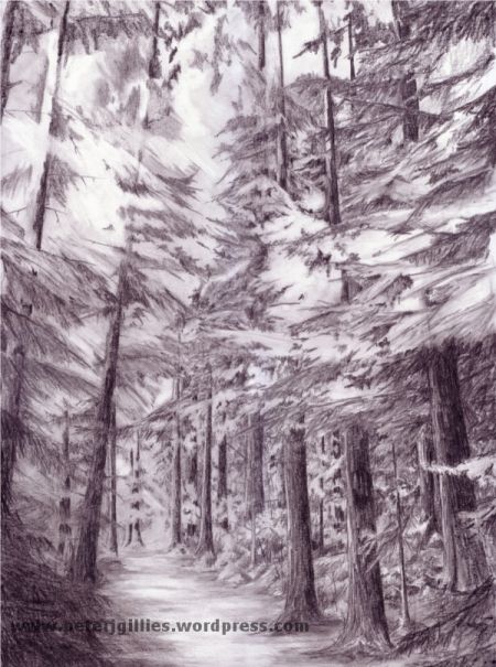 450x605 Drawing Drawings, Pencil Drawings, Forrest - Forest Pencil Drawing