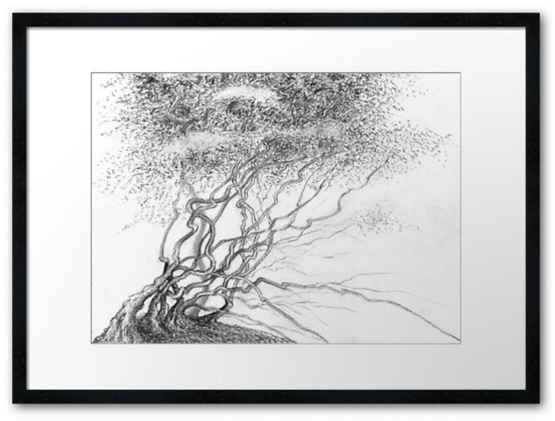 794x602 Tree Pencil Drawing Art Print Forest Realistic Art Etsy - Forest Pencil Drawing